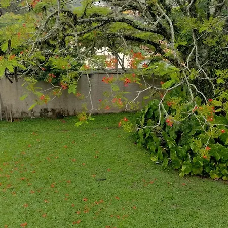 Alessia アパート